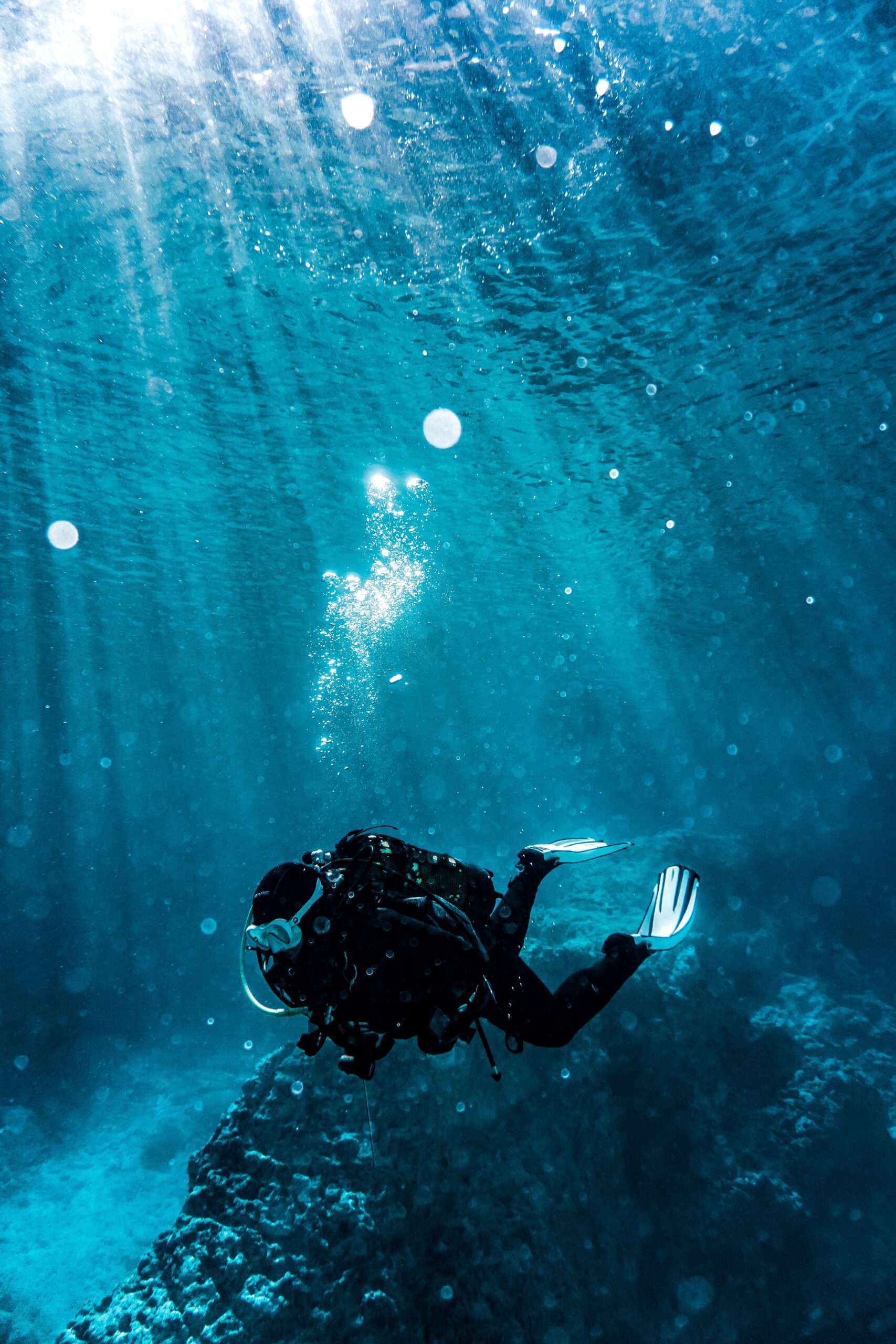 Les meilleures plongées sous-marines dans le monde