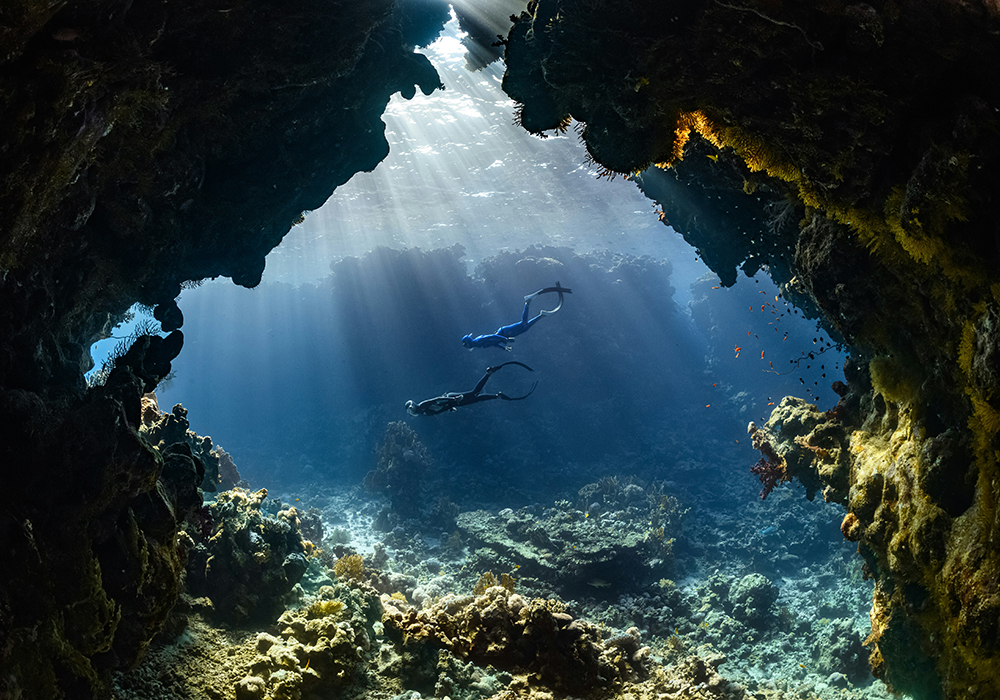 les plus belles destinations sous-marines du monde